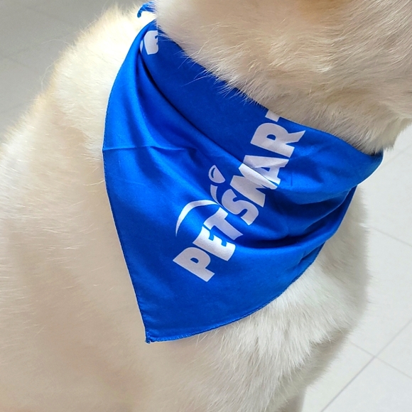 Petsmart Dog Handkerchief 🐕 - Picture 5 of 6